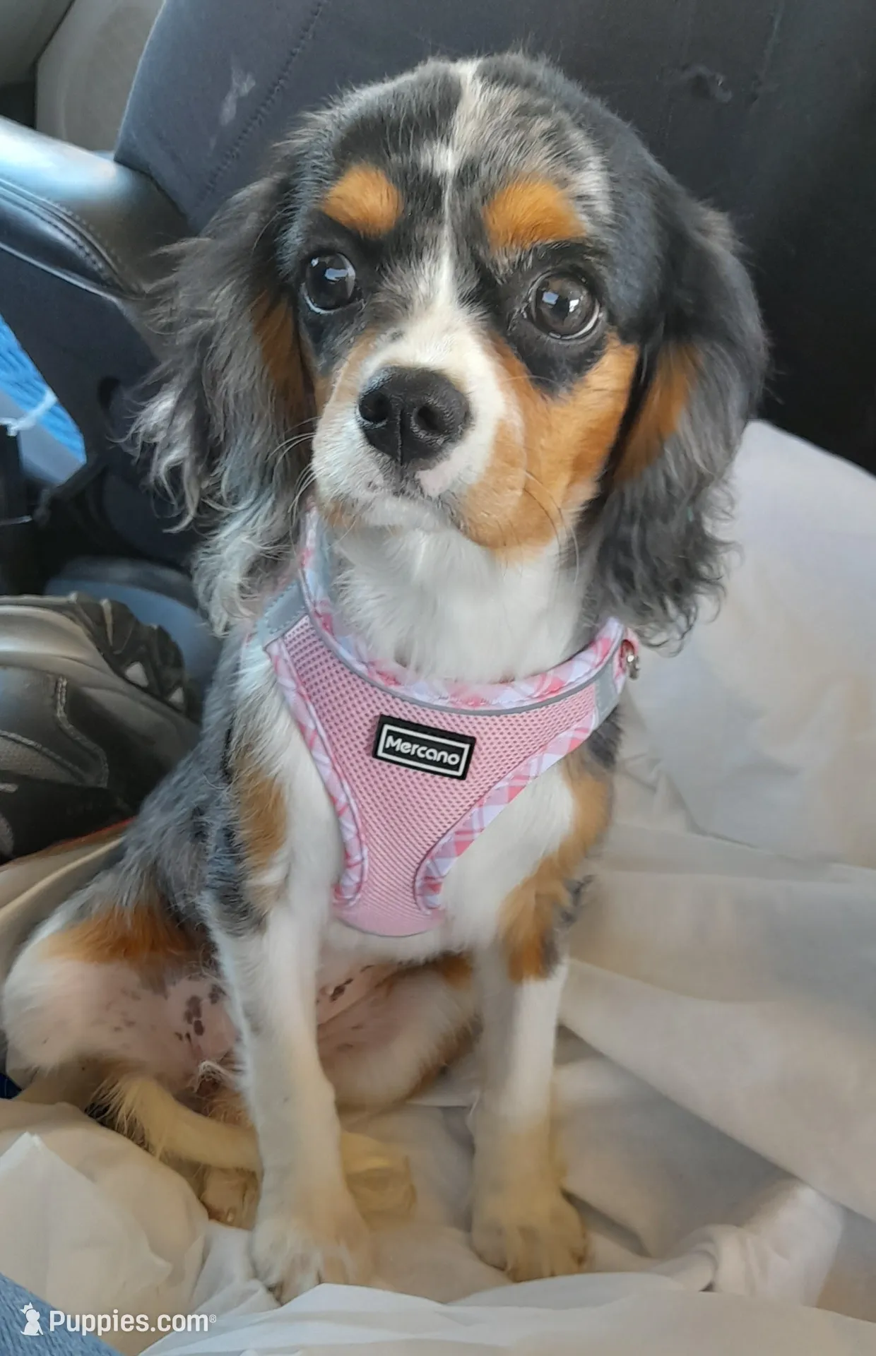 processed/b31f6b3e-a56c-4f19-af5d-a34b738358e4/listing/e990f57f-a2da-4549-ac6d-786c1f98d805/ec6b8f5e-95c9-4c0a-9c33-1f1407e9e242