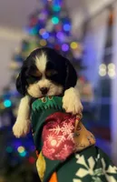 processed/b31f6b3e-a56c-4f19-af5d-a34b738358e4/listing/e990f57f-a2da-4549-ac6d-786c1f98d805/f17e4bcd-6031-4e70-acfb-804ba6cedf22