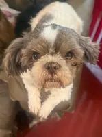 processed/b3470351-22d2-48a8-a4cd-f3d7975f722d/listing/a6e4b496-4fac-4fa5-ac17-a1a1f8561380/b71e2a05-8811-475e-8b30-a179656712ac