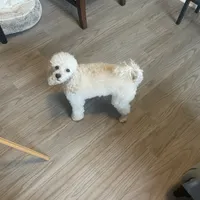 processed/b3486972-fd33-4ad8-8caa-b22daea2df6d/facility/0bb20066-8e26-4b48-ba08-bb3622621a9f