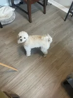 processed/b3486972-fd33-4ad8-8caa-b22daea2df6d/facility/0bb20066-8e26-4b48-ba08-bb3622621a9f