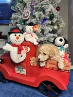 processed/b3486972-fd33-4ad8-8caa-b22daea2df6d/facility/151e9cc8-4fd4-47a9-af9a-92f51650242f