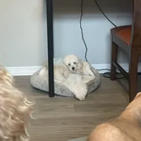 processed/b3486972-fd33-4ad8-8caa-b22daea2df6d/facility/1c1be87b-ede3-4160-b5c5-445c3e5437f4