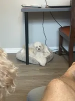 processed/b3486972-fd33-4ad8-8caa-b22daea2df6d/facility/1c1be87b-ede3-4160-b5c5-445c3e5437f4