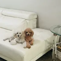 processed/b3486972-fd33-4ad8-8caa-b22daea2df6d/facility/367cd3b9-778c-4ec8-b09b-9b45b0cd3ab7