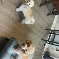 processed/b3486972-fd33-4ad8-8caa-b22daea2df6d/facility/88b5168c-13fa-4538-97f9-68b878f3d86c