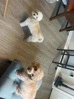 processed/b3486972-fd33-4ad8-8caa-b22daea2df6d/facility/88b5168c-13fa-4538-97f9-68b878f3d86c