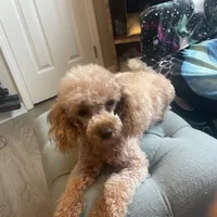 processed/b3486972-fd33-4ad8-8caa-b22daea2df6d/facility/ccb3d285-0826-4380-aaf2-94a2aecde523