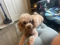 processed/b3486972-fd33-4ad8-8caa-b22daea2df6d/facility/ccb3d285-0826-4380-aaf2-94a2aecde523