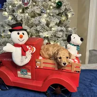 processed/b3486972-fd33-4ad8-8caa-b22daea2df6d/facility/ded4c38a-ebe3-42f5-b770-8d76b3a3d51b