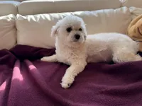 processed/b3486972-fd33-4ad8-8caa-b22daea2df6d/listing/90b3132c-0260-41a7-8c1d-4551b2f9531c/8635e721-c73c-4dd4-8ef9-e3e1fc3e526a