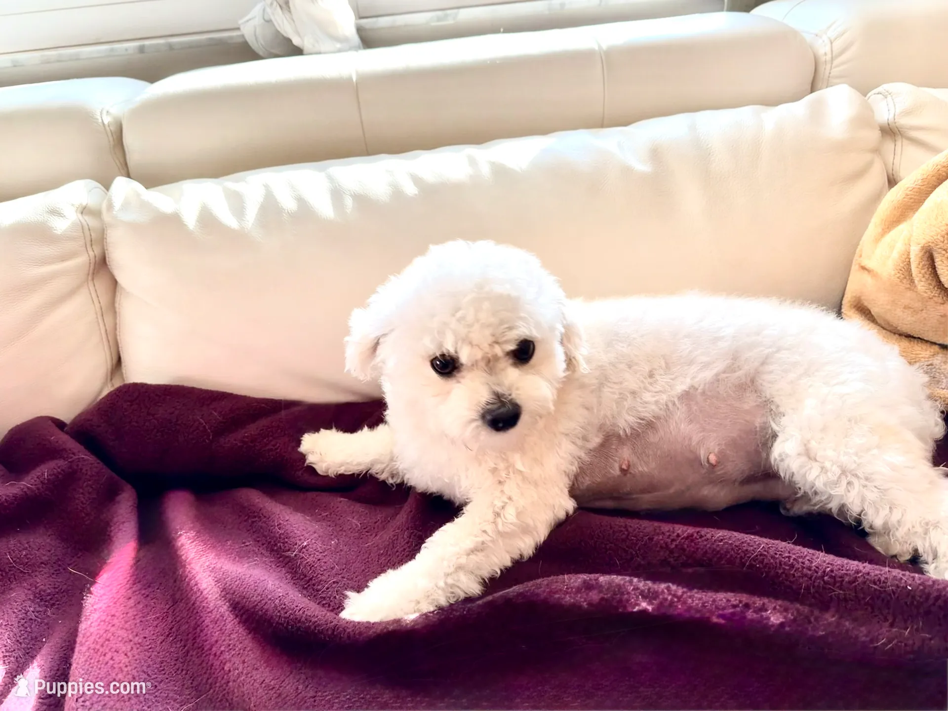 processed/b3486972-fd33-4ad8-8caa-b22daea2df6d/listing/90b3132c-0260-41a7-8c1d-4551b2f9531c/d56f95ac-d569-4344-94c5-5aa4048286cd