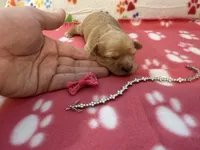 processed/b3486972-fd33-4ad8-8caa-b22daea2df6d/listing/a03438a0-87df-49bc-8028-e341584dd3e7/5b7b1b93-7d0d-40dd-8b6a-d6006e9878ed