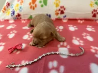 processed/b3486972-fd33-4ad8-8caa-b22daea2df6d/listing/a03438a0-87df-49bc-8028-e341584dd3e7/68fbcc7c-cba3-4ca9-9a5c-57de12dc3191