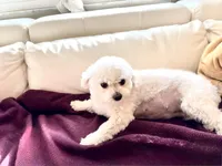 processed/b3486972-fd33-4ad8-8caa-b22daea2df6d/listing/a03438a0-87df-49bc-8028-e341584dd3e7/b4c0ed2c-63f8-460c-848b-033681a2e2d0