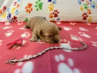 processed/b3486972-fd33-4ad8-8caa-b22daea2df6d/listing/a03438a0-87df-49bc-8028-e341584dd3e7/cb50ac64-135a-42cc-bccd-186e2be24feb