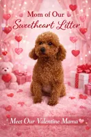 AKC Male , a male Poodle - Toy  for sale in Bakersfield, CA – Photo 9 of 10