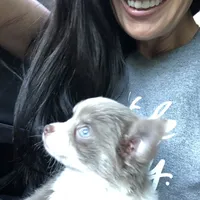 processed/b34f0c63-01cf-4e40-b390-098fb949676c/facility/8cf953ef-2183-4076-be86-f43ff37687b2