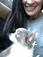 processed/b34f0c63-01cf-4e40-b390-098fb949676c/facility/8cf953ef-2183-4076-be86-f43ff37687b2