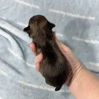 processed/b34f0c63-01cf-4e40-b390-098fb949676c/listing/179b9dad-36a7-4bf8-b4f2-b75ae4e2a2df/03c394a5-179e-4789-8da1-445afc9720f7