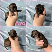 processed/b34f0c63-01cf-4e40-b390-098fb949676c/listing/179b9dad-36a7-4bf8-b4f2-b75ae4e2a2df/08a42d3e-5cd8-4cd1-9b3b-e72ed8e95f28