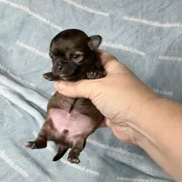 processed/b34f0c63-01cf-4e40-b390-098fb949676c/listing/179b9dad-36a7-4bf8-b4f2-b75ae4e2a2df/5facb416-b582-48ff-992d-9c22f164f090