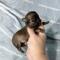 processed/b34f0c63-01cf-4e40-b390-098fb949676c/listing/179b9dad-36a7-4bf8-b4f2-b75ae4e2a2df/8a570a40-d0a2-4755-956c-0b17157ddeb7