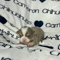 processed/b34f0c63-01cf-4e40-b390-098fb949676c/listing/3d9f2b47-d922-42cf-8db8-e352d72de0ff/23d066d1-ff36-4438-9c21-53a2194334db