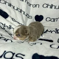 processed/b34f0c63-01cf-4e40-b390-098fb949676c/listing/3d9f2b47-d922-42cf-8db8-e352d72de0ff/28d1947a-392f-402b-a0ad-6661ea2d98e0