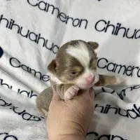 processed/b34f0c63-01cf-4e40-b390-098fb949676c/listing/3d9f2b47-d922-42cf-8db8-e352d72de0ff/3f5e0c13-e754-4ced-af2b-4042bbaa97ae