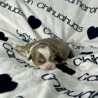 processed/b34f0c63-01cf-4e40-b390-098fb949676c/listing/3d9f2b47-d922-42cf-8db8-e352d72de0ff/3fbcaf9f-2cb1-4d4e-8516-19a1dea468c5