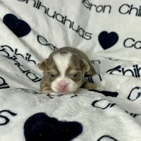 processed/b34f0c63-01cf-4e40-b390-098fb949676c/listing/3d9f2b47-d922-42cf-8db8-e352d72de0ff/62f31b33-8414-4143-abeb-447704caf9e0