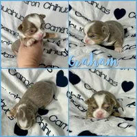 processed/b34f0c63-01cf-4e40-b390-098fb949676c/listing/3d9f2b47-d922-42cf-8db8-e352d72de0ff/7b33eb66-56c1-45f6-b544-b55190094b79