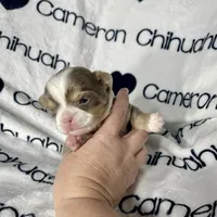 processed/b34f0c63-01cf-4e40-b390-098fb949676c/listing/3d9f2b47-d922-42cf-8db8-e352d72de0ff/ca7d1fe0-1529-496d-bc88-7dbeb1934ebb