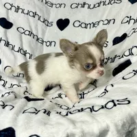 processed/b34f0c63-01cf-4e40-b390-098fb949676c/listing/56ca0cf4-1d3a-420e-9c79-599f3c4ab5a0/4f3f53f6-4181-4419-8827-5459d7e95e71