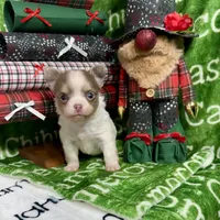 processed/b34f0c63-01cf-4e40-b390-098fb949676c/listing/56ca0cf4-1d3a-420e-9c79-599f3c4ab5a0/51350795-de73-47d8-aba7-8c56dae902f4