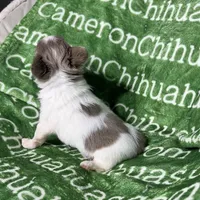 processed/b34f0c63-01cf-4e40-b390-098fb949676c/listing/56ca0cf4-1d3a-420e-9c79-599f3c4ab5a0/59aef30b-7d35-461f-81ff-471d169f4968