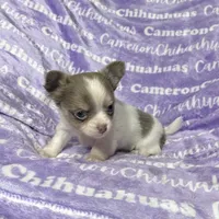 processed/b34f0c63-01cf-4e40-b390-098fb949676c/listing/56ca0cf4-1d3a-420e-9c79-599f3c4ab5a0/5b059d8f-536a-46e0-a7ee-4f088420ac12