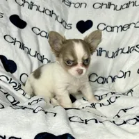 processed/b34f0c63-01cf-4e40-b390-098fb949676c/listing/56ca0cf4-1d3a-420e-9c79-599f3c4ab5a0/6cc0e45c-826f-41ea-9432-e1d998f51fe7