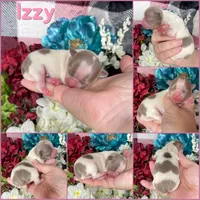 processed/b34f0c63-01cf-4e40-b390-098fb949676c/listing/56ca0cf4-1d3a-420e-9c79-599f3c4ab5a0/792fe153-423d-45e1-94ac-d5fdacafa58b