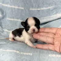 processed/b34f0c63-01cf-4e40-b390-098fb949676c/listing/8cf1b8cb-d8aa-4417-a4bc-6b8707ff0a0b/179e6121-a27e-4fb9-9f3e-5e9abb907154