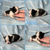 processed/b34f0c63-01cf-4e40-b390-098fb949676c/listing/8cf1b8cb-d8aa-4417-a4bc-6b8707ff0a0b/1e0cfac5-c164-4b8e-a870-669ce6b86ab5