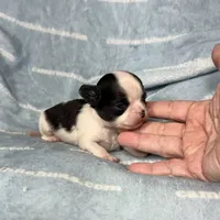 processed/b34f0c63-01cf-4e40-b390-098fb949676c/listing/8cf1b8cb-d8aa-4417-a4bc-6b8707ff0a0b/22a0f8f2-46b1-448b-ba0e-480c90c2839a