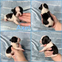 processed/b34f0c63-01cf-4e40-b390-098fb949676c/listing/8cf1b8cb-d8aa-4417-a4bc-6b8707ff0a0b/270c23a3-2c92-4c08-971b-3c796f2589ae