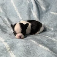 processed/b34f0c63-01cf-4e40-b390-098fb949676c/listing/8cf1b8cb-d8aa-4417-a4bc-6b8707ff0a0b/4e2a991c-3076-4b99-bbc6-267dbedb8b5f