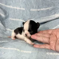 processed/b34f0c63-01cf-4e40-b390-098fb949676c/listing/8cf1b8cb-d8aa-4417-a4bc-6b8707ff0a0b/eac68ca0-c39c-487e-b84e-b2886bb3017e