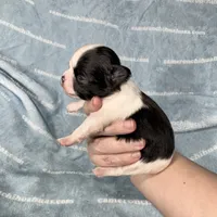 processed/b34f0c63-01cf-4e40-b390-098fb949676c/listing/8cf1b8cb-d8aa-4417-a4bc-6b8707ff0a0b/ff81a68a-c311-4367-884b-6e283a06a650