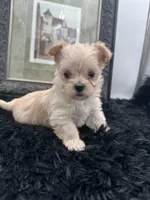 processed/b35efb8d-23d0-4d0a-be95-cfa82985b3fd/listing/75b1cfb7-01ea-4ec4-a782-05c4ce3dbbf1/42e02492-df94-4652-8d1b-2c9b28897d43