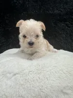 processed/b35efb8d-23d0-4d0a-be95-cfa82985b3fd/listing/75b1cfb7-01ea-4ec4-a782-05c4ce3dbbf1/719ddbac-42e9-423f-952a-8d57c1249665