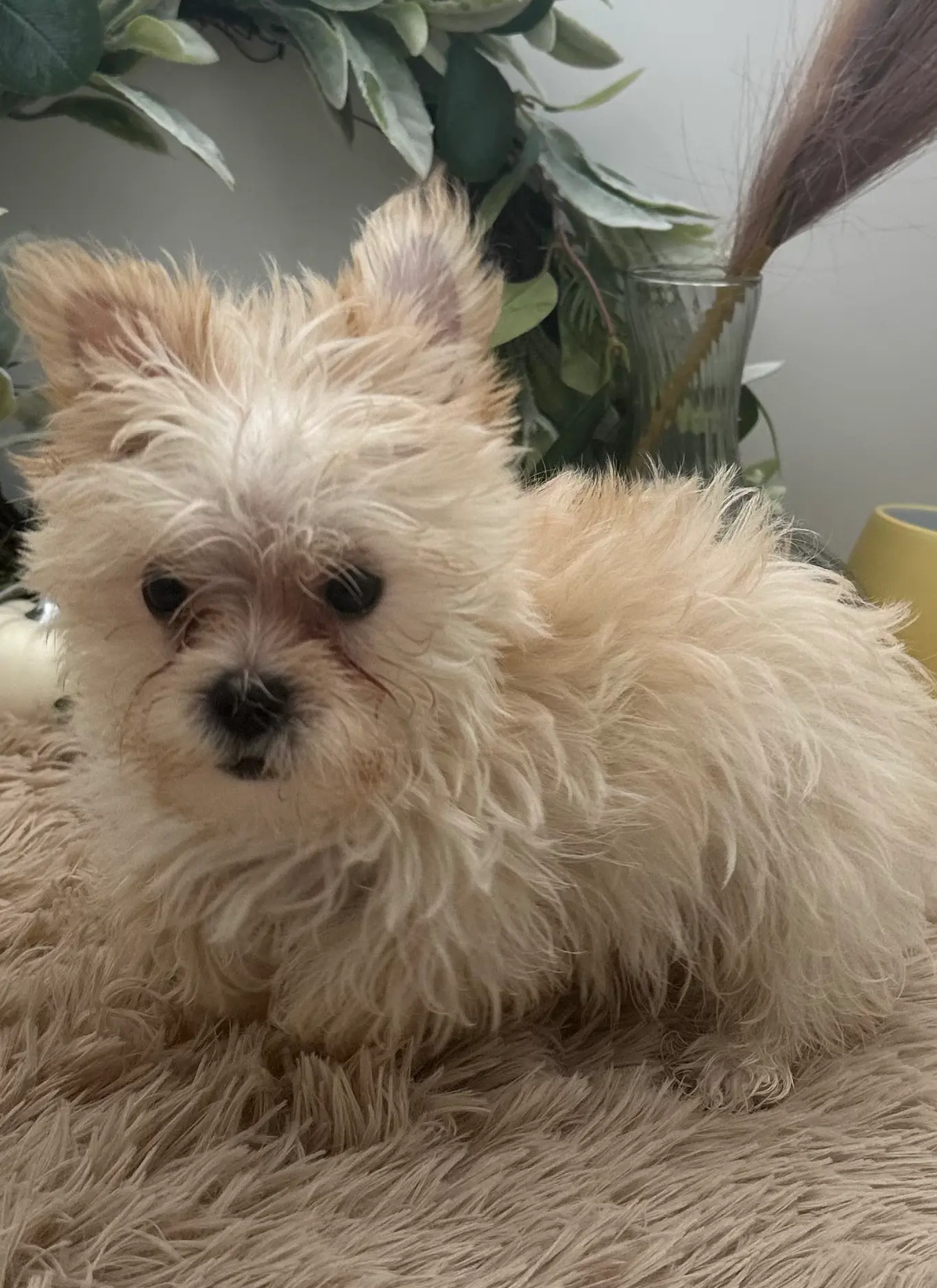 processed/b35efb8d-23d0-4d0a-be95-cfa82985b3fd/listing/75b1cfb7-01ea-4ec4-a782-05c4ce3dbbf1/7cac7bf7-d6a8-4741-96a3-033577a42726